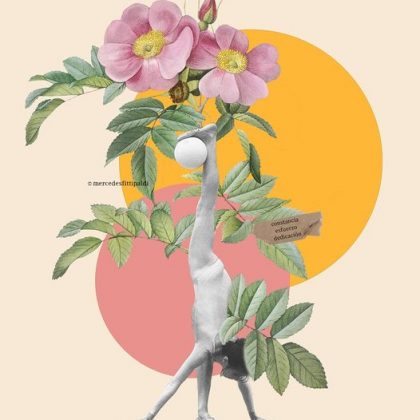 Equilibrio