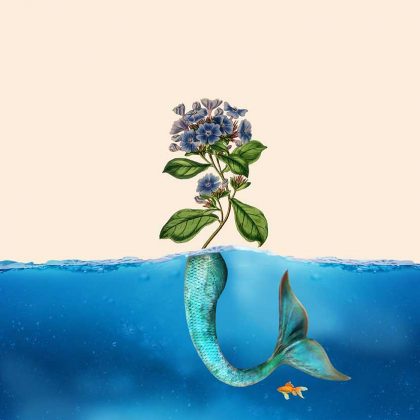 Sirena