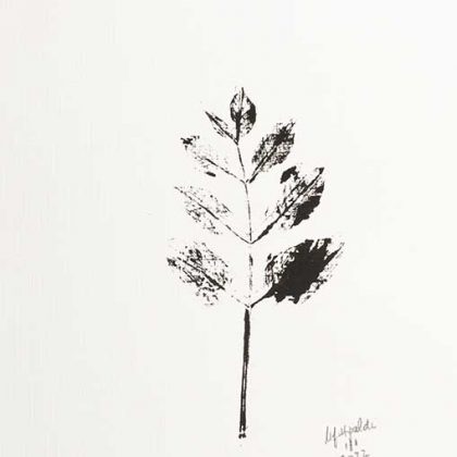 Hoja
