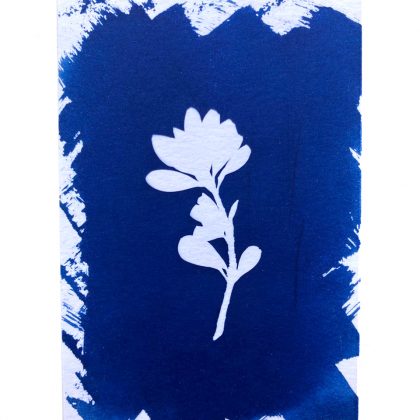 Cianotipia Card - Ref.(202301)