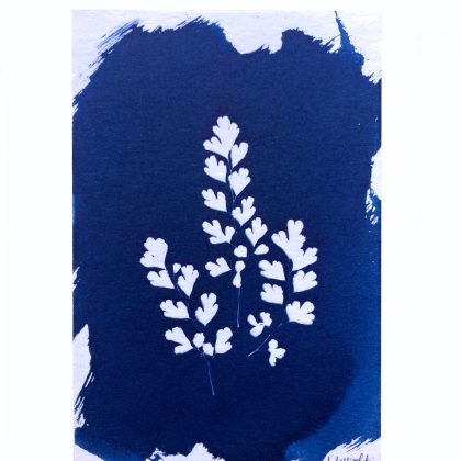 Cianotipia Card – Ref.(202302)