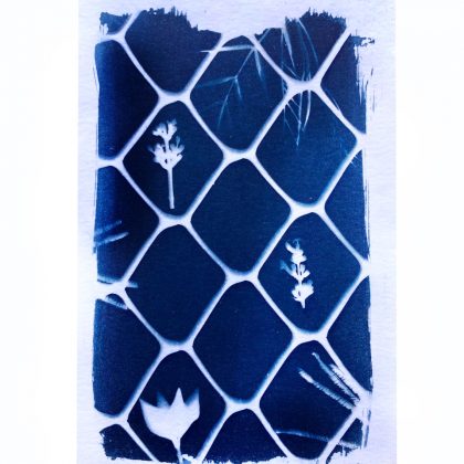 Cianotipia Card – Ref.(202401)